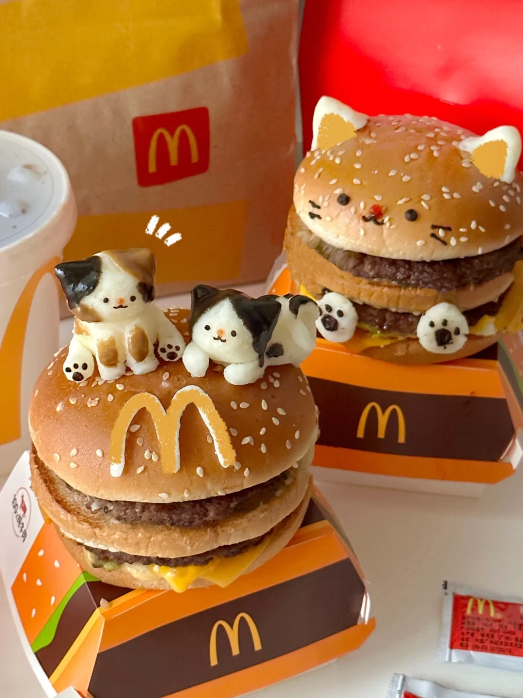 小猫咪和它的巨无霸