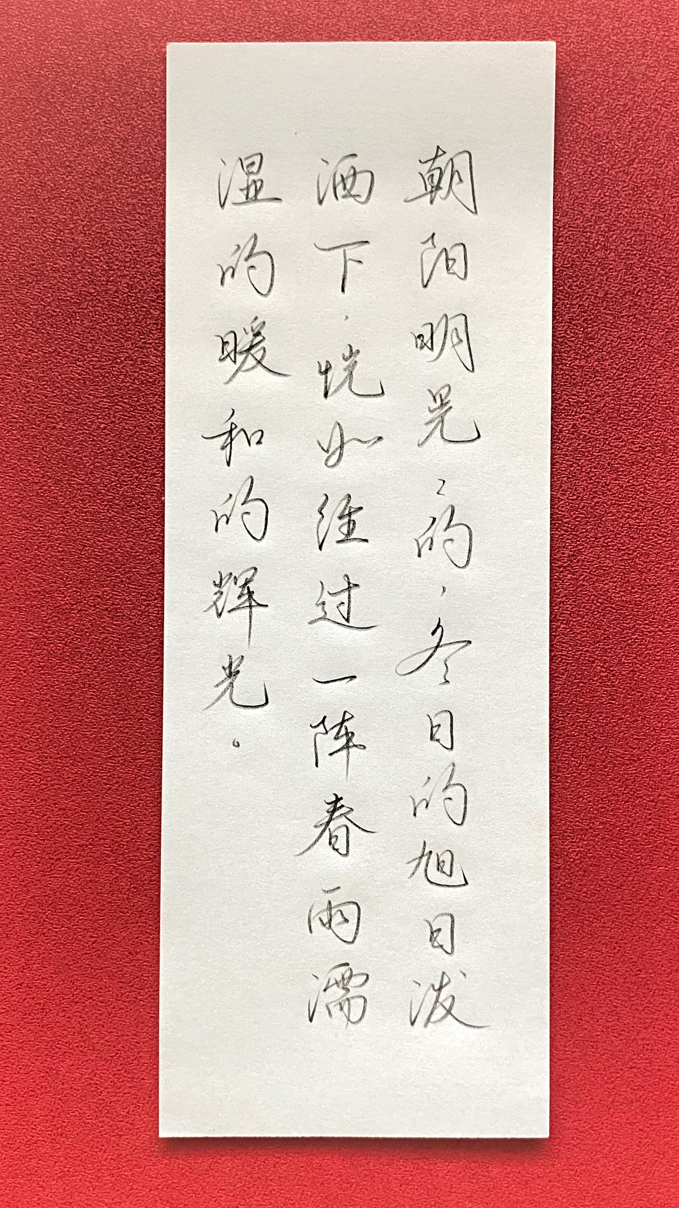 今日作业（2025.2.5）朝阳明晃晃的，冬日的旭日泼洒下恍如经过一阵春雨濡湿的