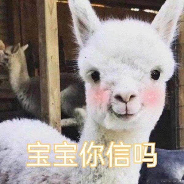 曝杨洋手里不缺剧本 呃，你们评吧…… 