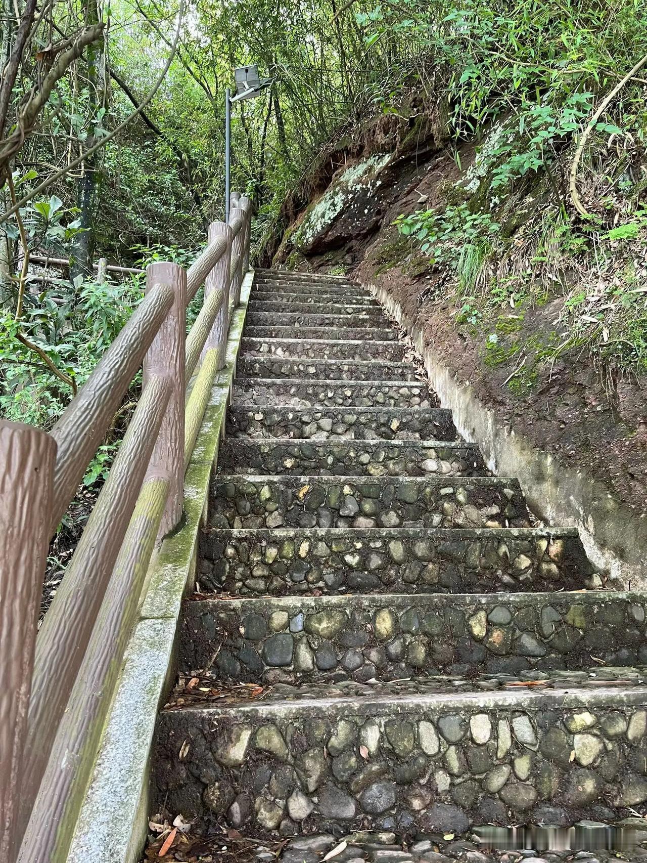渔家傲·琅琊山怀琅琊榜
 
翠叠琅琊云影杳，层林尽染清秋晓。古径苔深寻旧貌，风悄