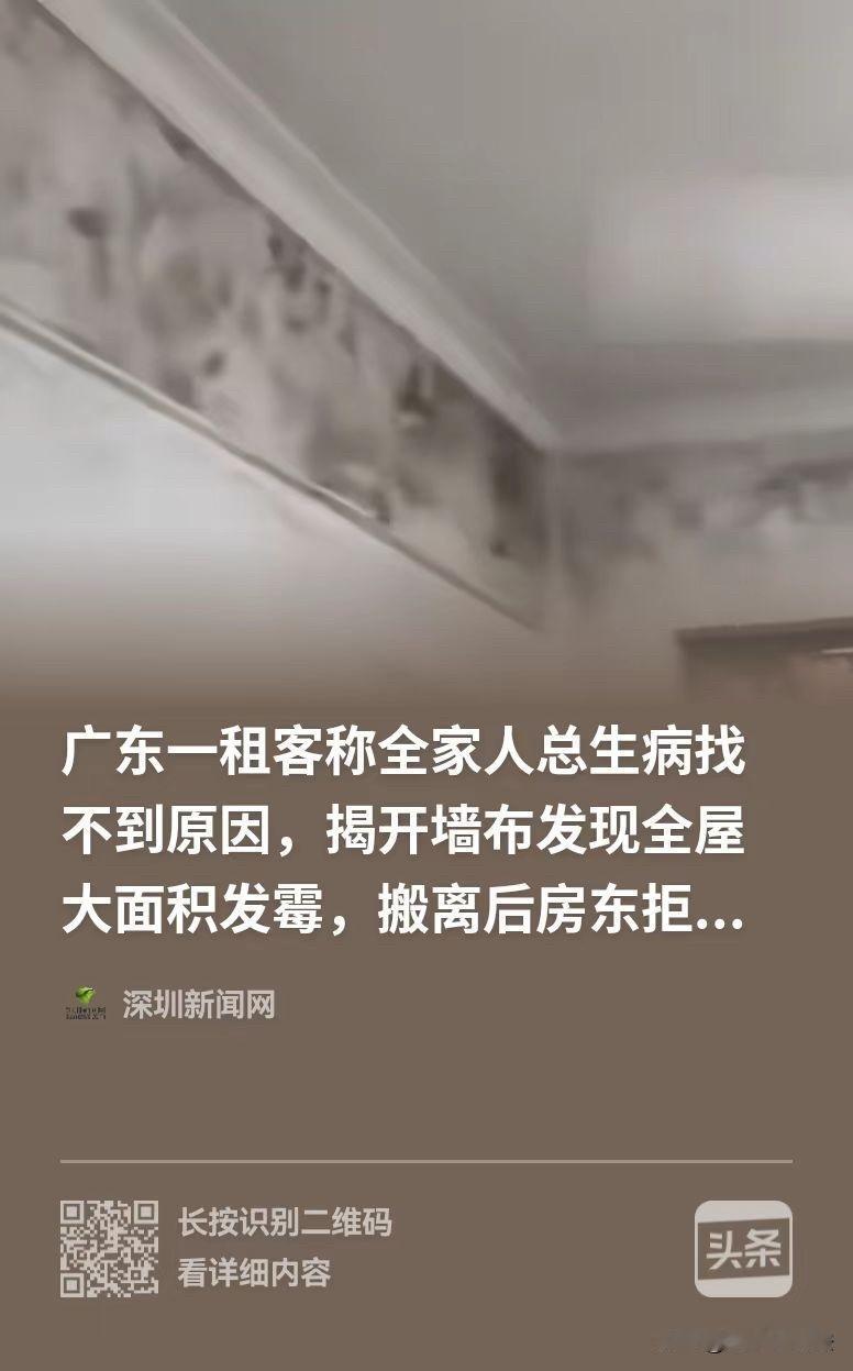 冤吗？深圳，租客一家频繁生病，揭开墙布才发现全屋墙体大面积发霉，事后要求房东退还