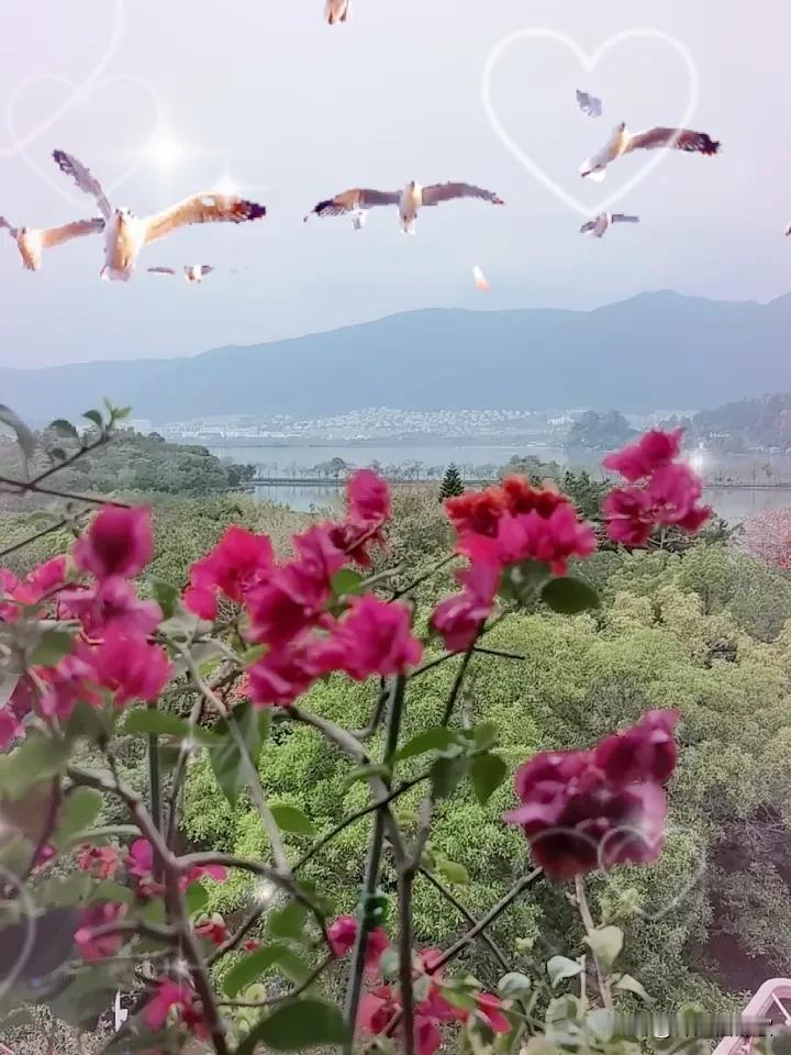 今天是个好日子，祝愿中国股市长红，马年大发！[招财进宝][招财进宝][招财进宝]