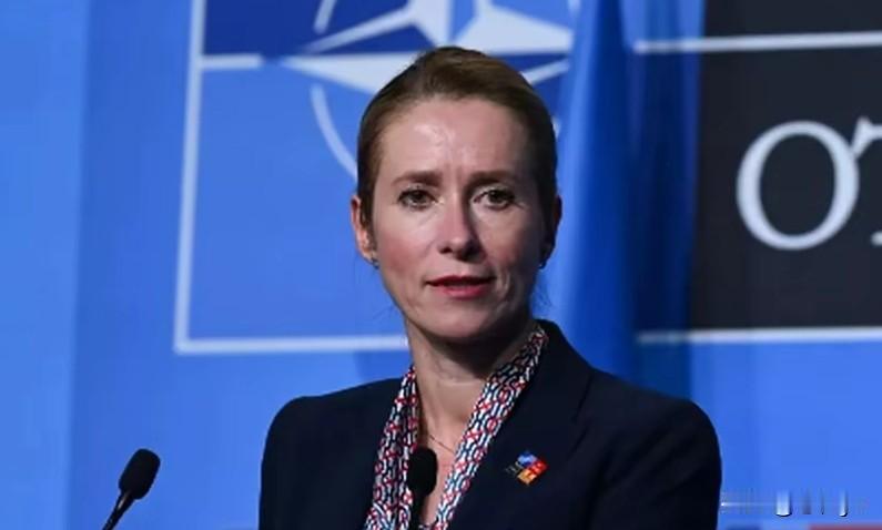 18日，欧盟外长卡拉斯声明称，欧盟内部有分歧，中俄估计在背后看笑话呢。她还说，美