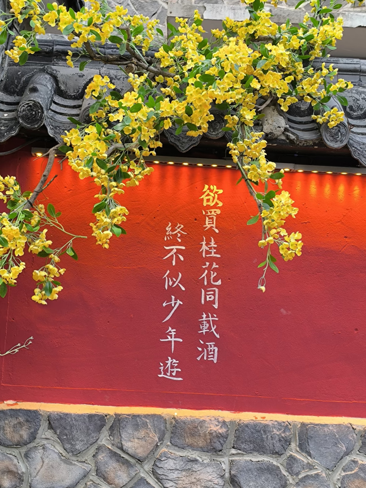 不再依赖学生证算长大吗算不用延毕……不过学生时代应该算是人生的假期，大学时是最适