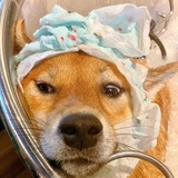 闲说说科技