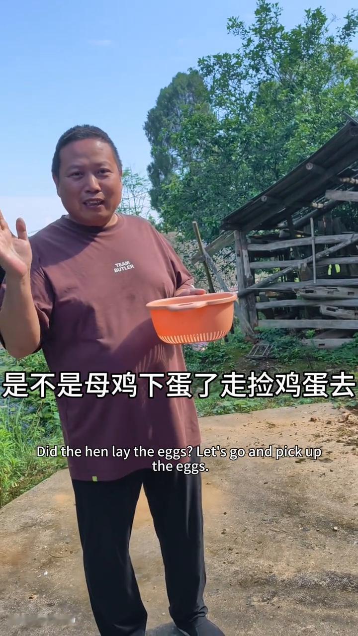 现在我们在湘西山寨，一大早听到母鸡到处在叫，有在猪栏里、牛栏里，还有在板壁上面。
