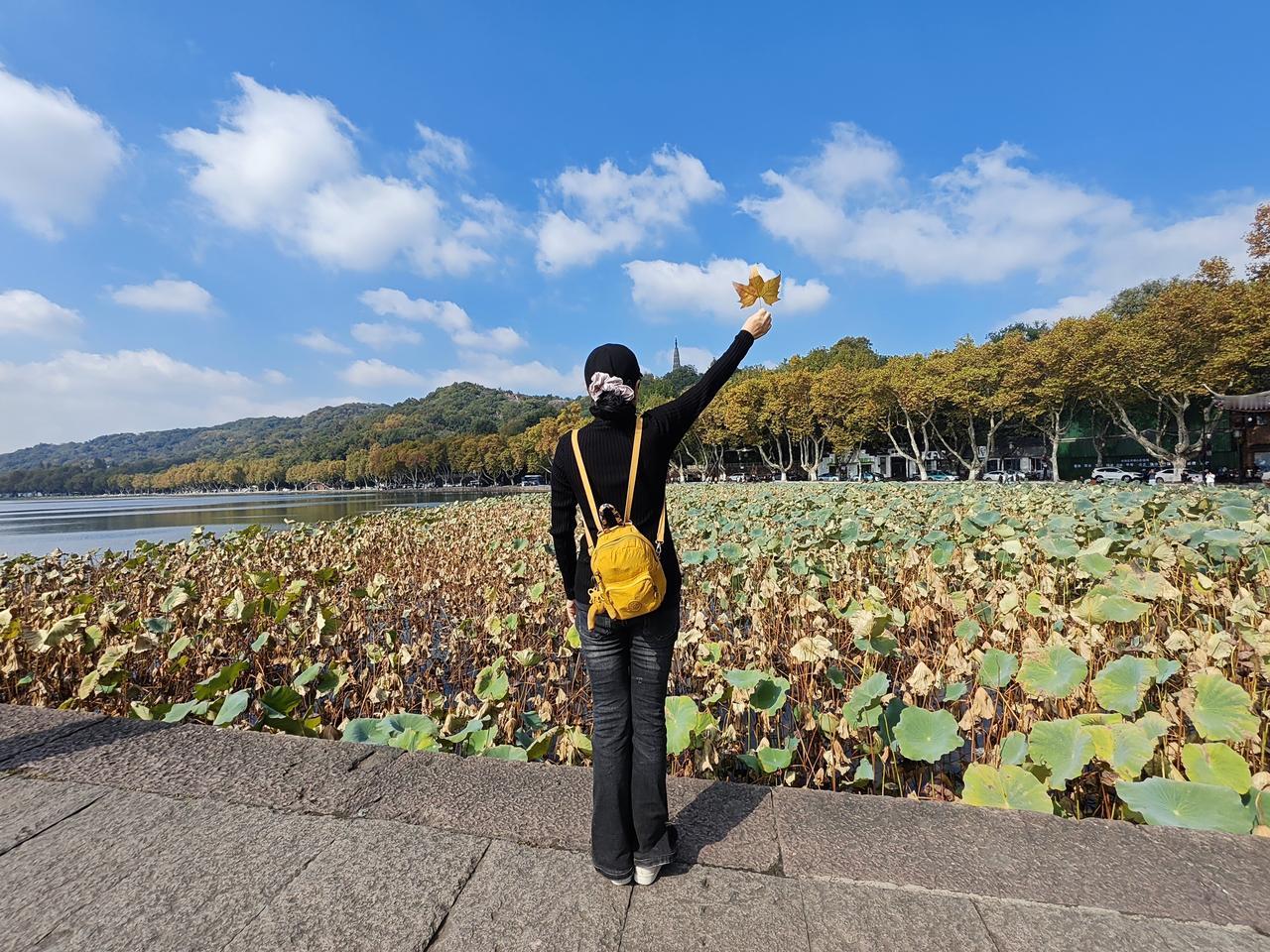生活总是那么不尽人意，但是不能因为生活的坎坎坷坷就退缩不前。谁的岁月能够天天静好