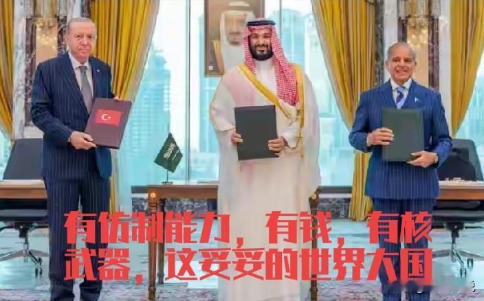 穆斯林这回要成气候了，有钱，有仿制能力，有核武器，一下子可以和世界大国掰手腕了。