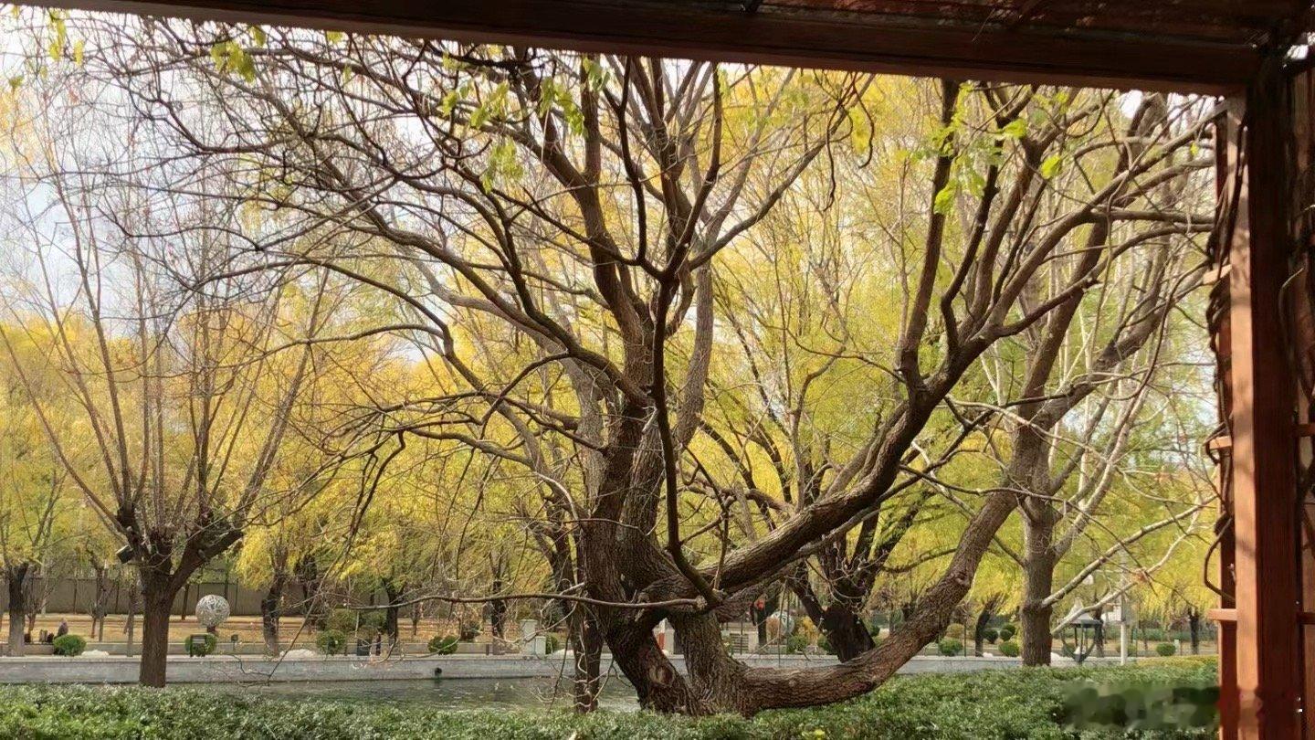 临近年底，各大机构和基金忙于计算排名，计算业绩提取，计算年终奖以及度假事宜。市场