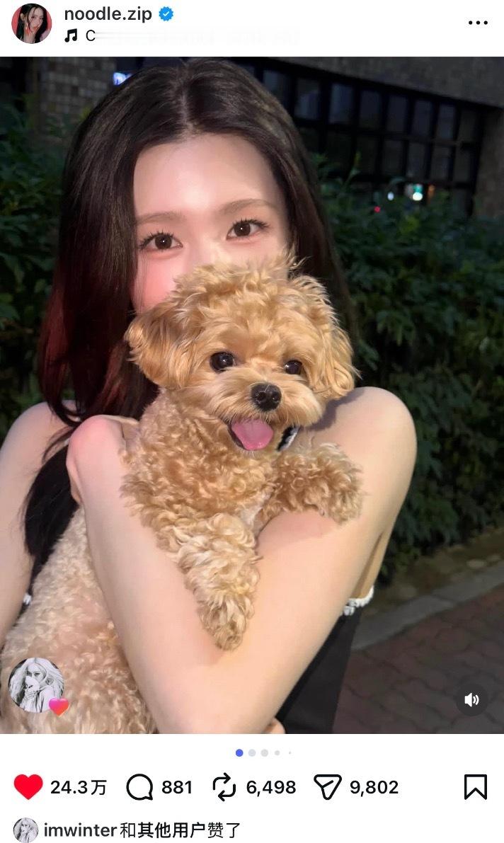 才发现金冬冬前几天点贊的面姐 怀里的小狗也是马尔泰🐶 