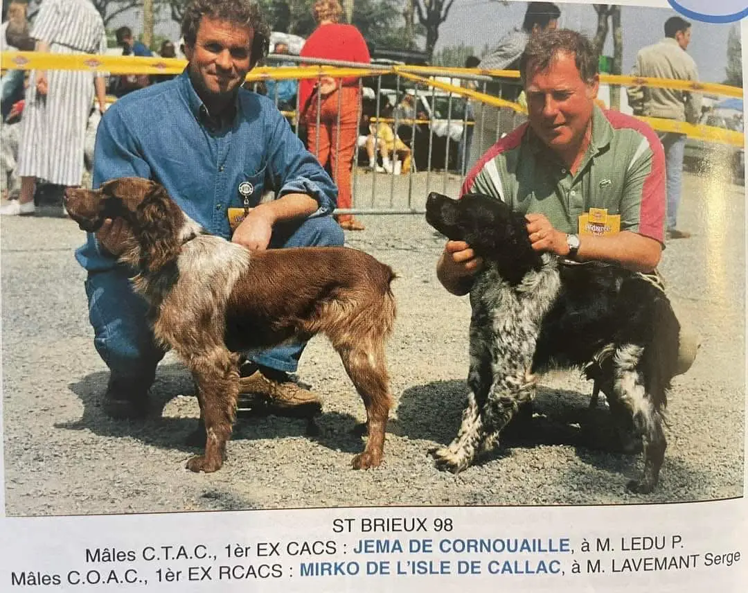 90年代，布列塔尼epagnuelBreton