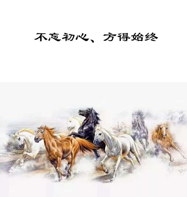 自2019年担任乌克兰总统以来，提出了多项改革承诺，但由于俄乌冲突、国内政治阻力