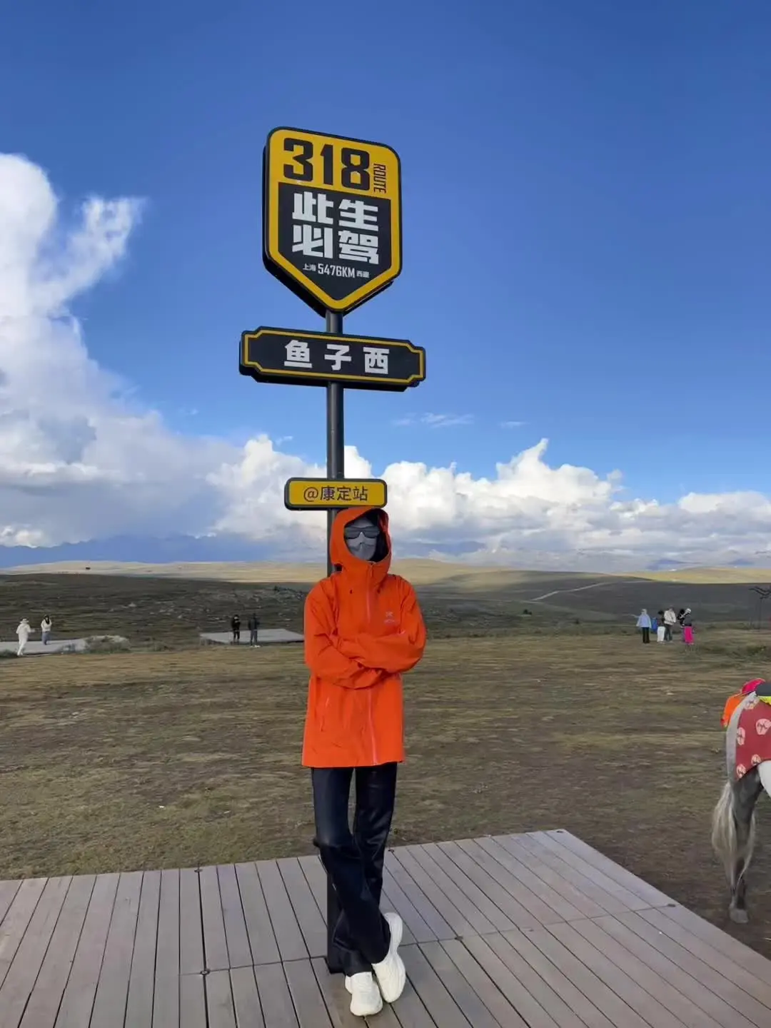 没有一夜长大的树 也没有一步通天的路