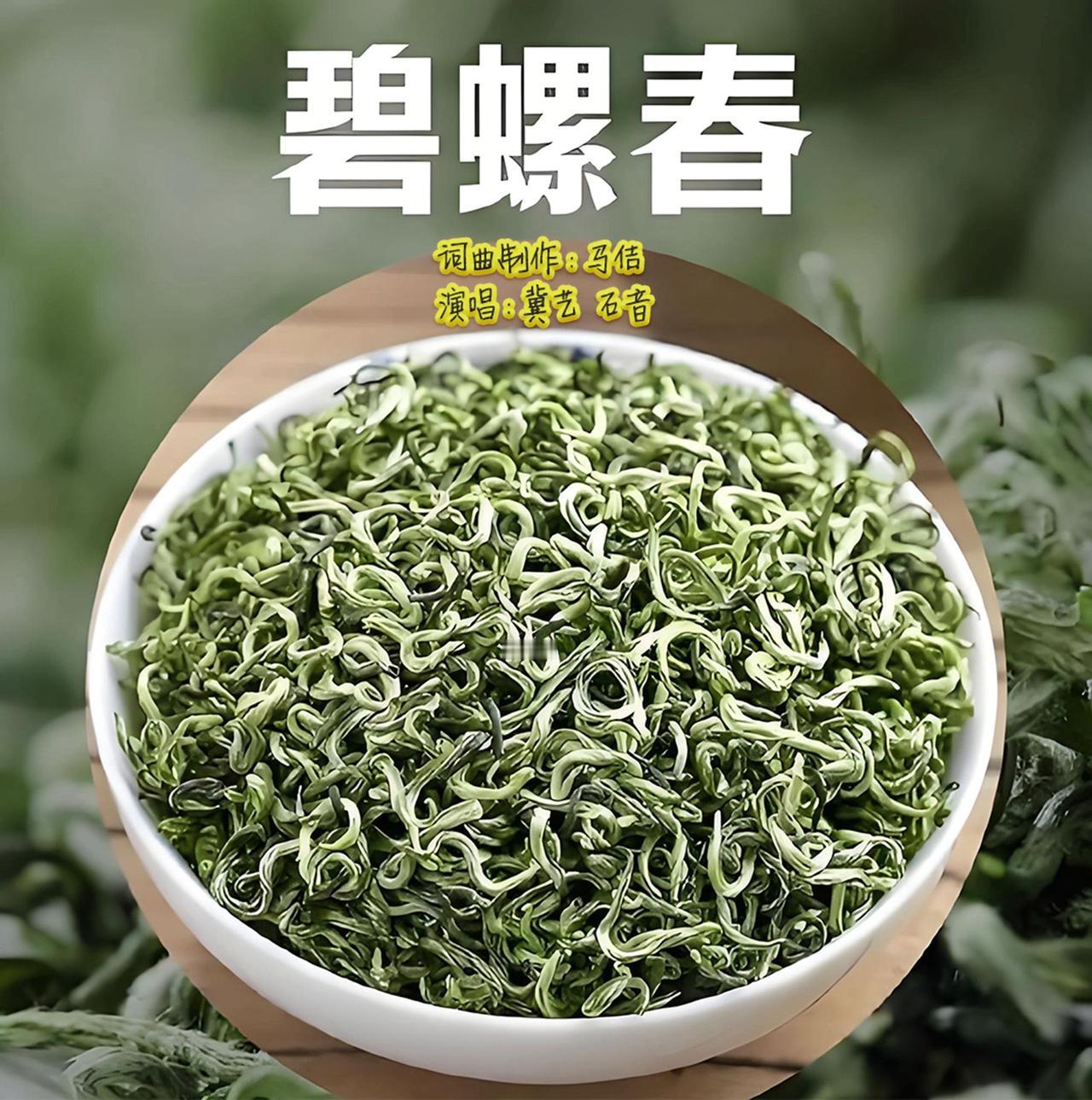 歌曲《碧螺春》热门话题 碧螺春 抖音热歌推荐🔥