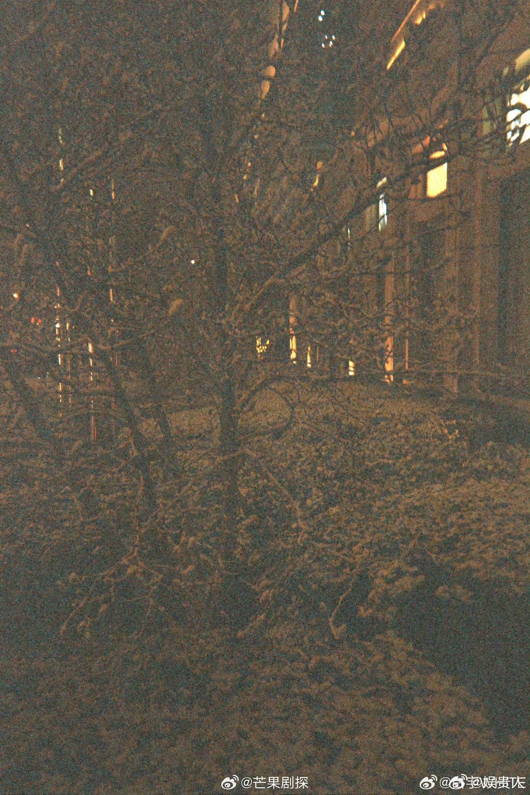 白宇晒北京下雪live图白宇晒北京的雪 热爱生活的男青年啊 