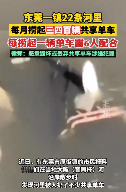 共享单车惹谁了？老是从河里捞出来？22条河里每个月都能捞三四百辆！

这事情发生