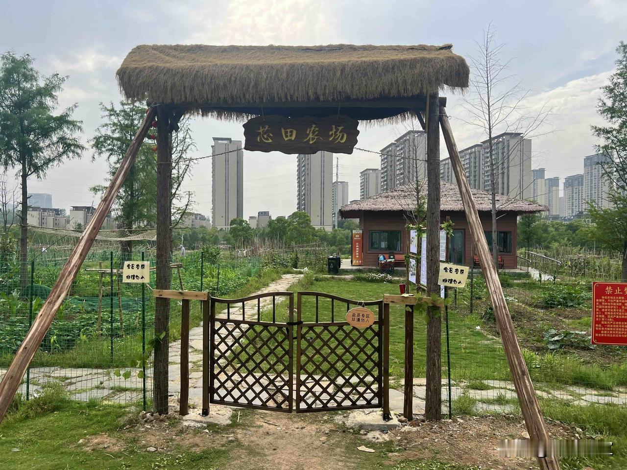 分享城市新鲜事光谷中央生态大走廊中的开心农场，面积还挺大的，里面种满了各种蔬菜，