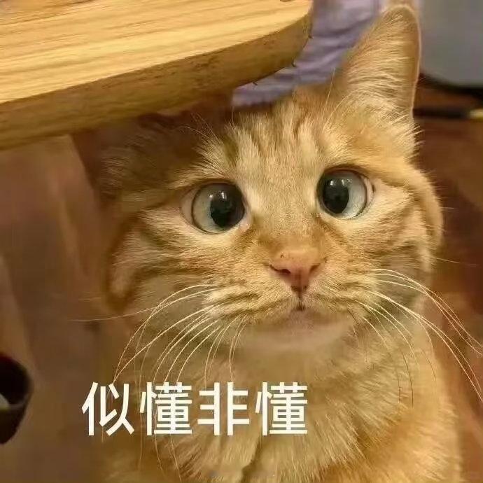 我向别人安利我担就这样看低智商犯罪狠狠共情了！我认真安利我担滔滔不绝，别人根本听