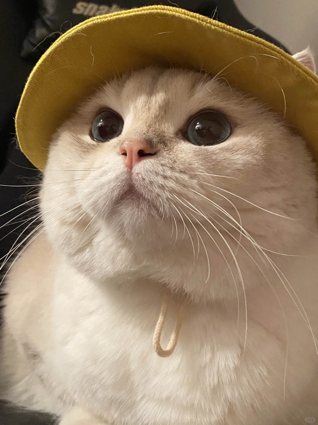 出来玩！