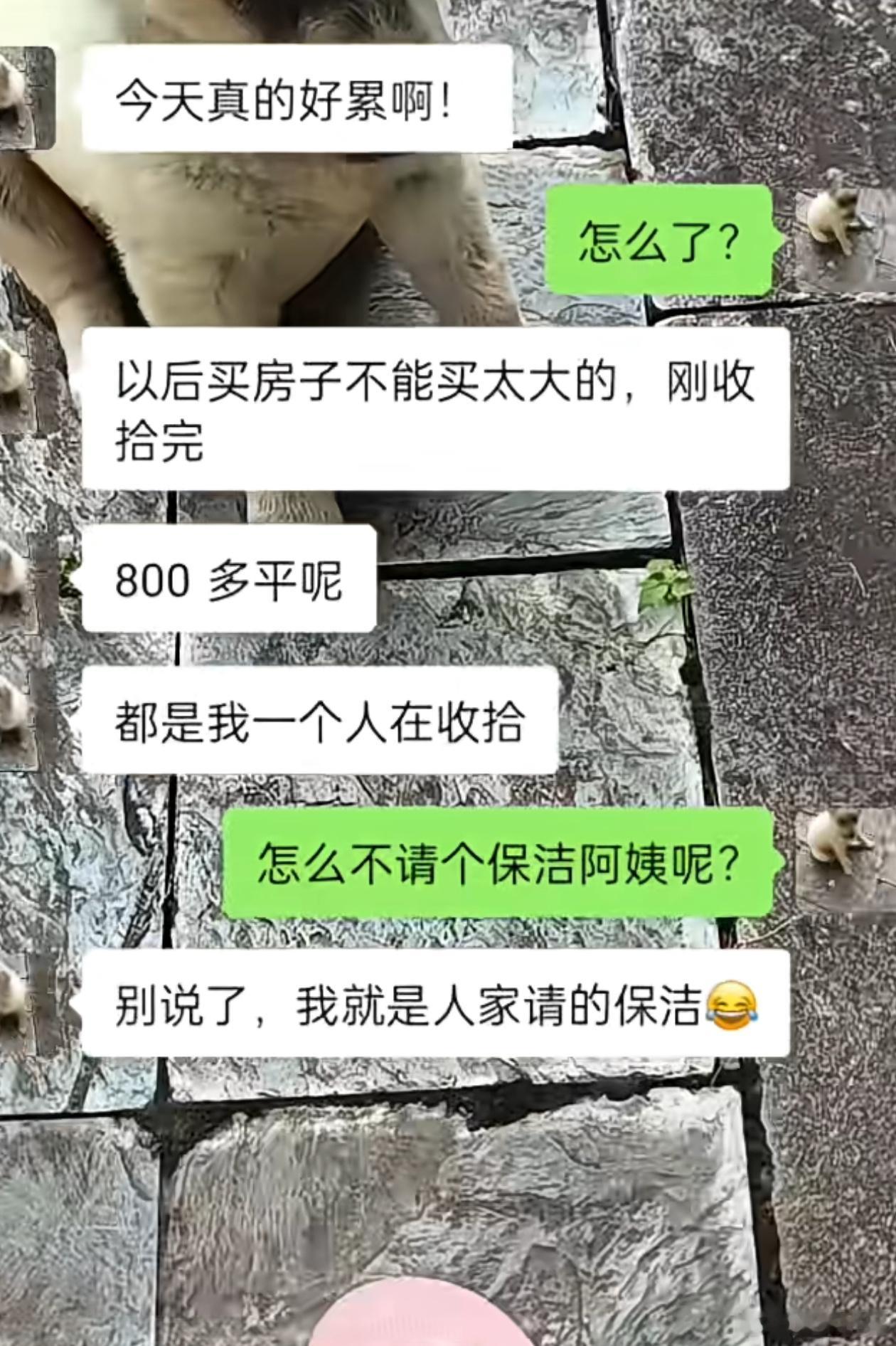 还好看完了，不然看一半就嫉妒了能够拥有在大城市生活的心态和稳定的收入，肯定是相当