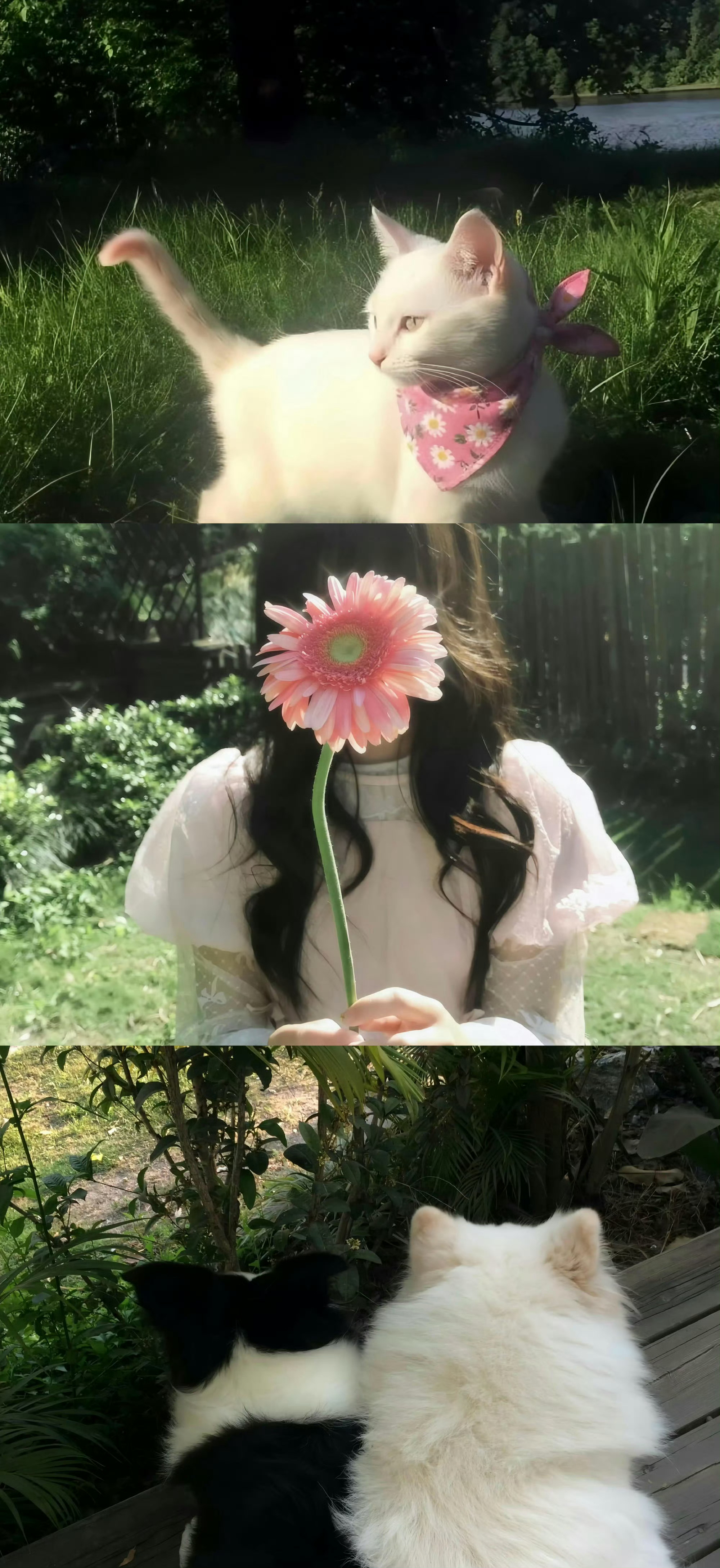 分享一些高清无水印的超级韩系的拼贴壁纸 ​​​