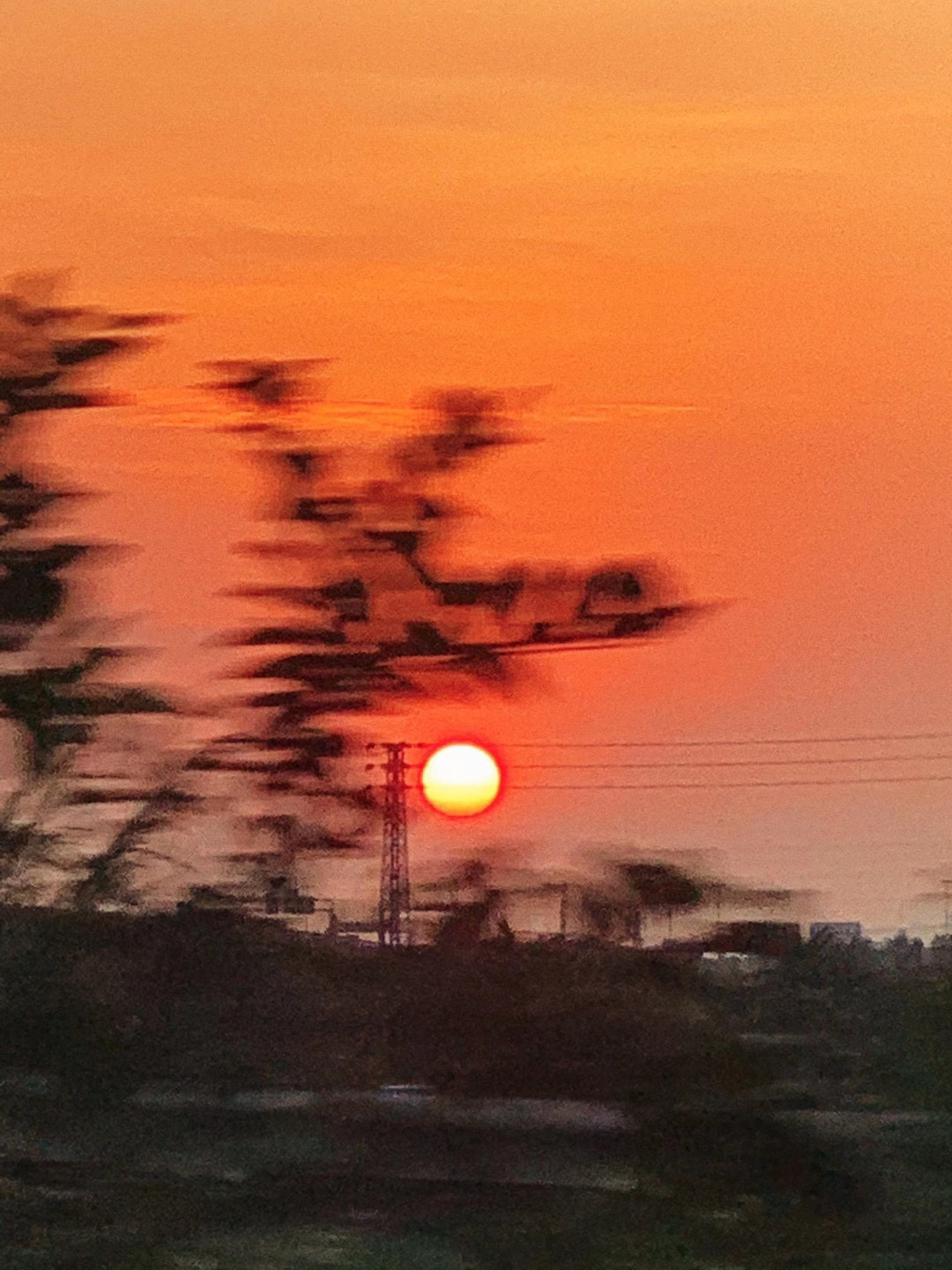 在你孤独、悲伤的日子，请你悄悄地念一念我的名字，并且说：有人在思念我，在世间我活