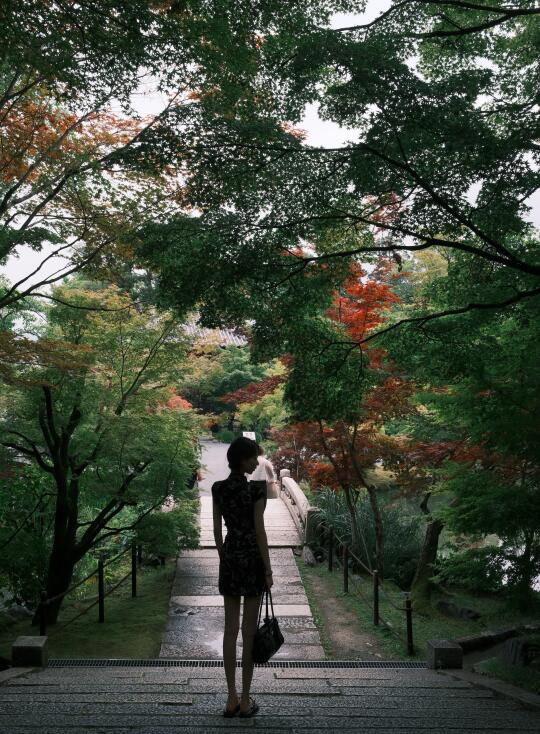 Kyoto plog