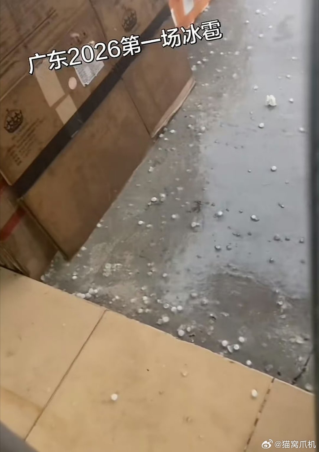 广州24度还下冰雹可还行广州冰雹
