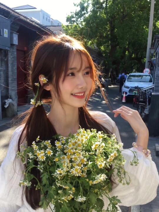🍃胡同里的夏天