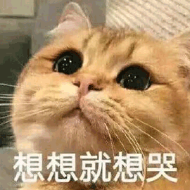 我们的生活在欢笑
而小猫小狗的生存却在啼哭
当带血的屠刀与弓弩射穿它们的头颅
疼