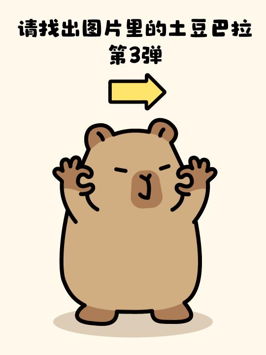 请 寻找 土豆巴拉3.0