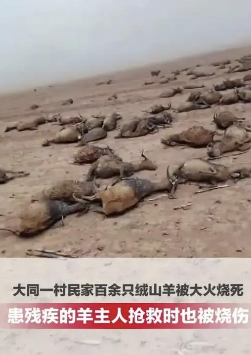 1月9日下午，山西省大同市广灵县加斗镇西加斗村发生一起火灾事故，村民杨先生家中百