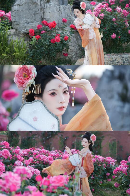 被客妹夸爆的月季写真