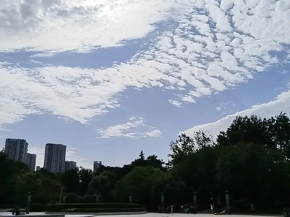 分享一张随手拍下的天空