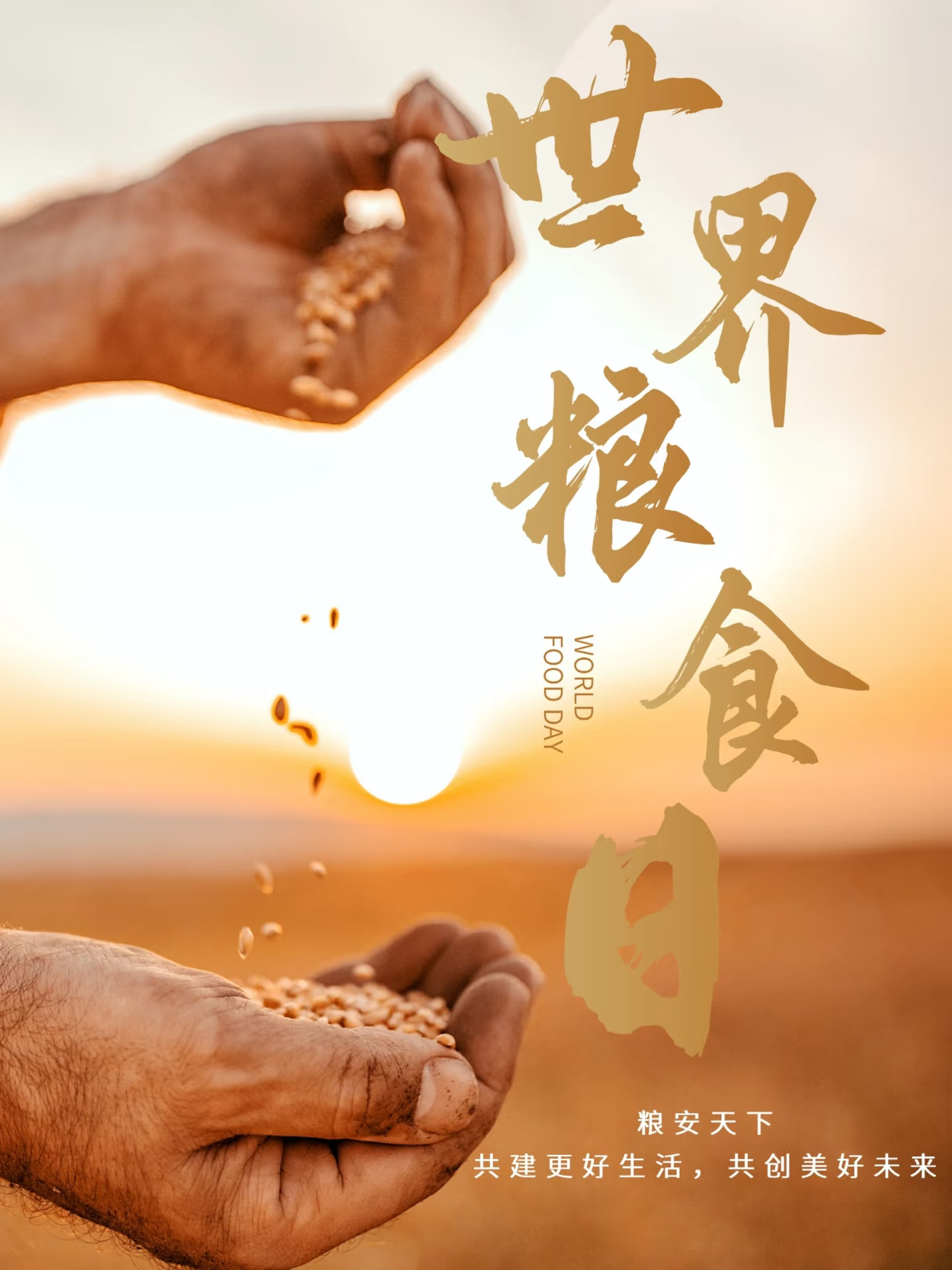 今天是世界粮食日，让我们深切缅怀“杂交水稻之父”袁隆平先生。  他用毕生心血，助