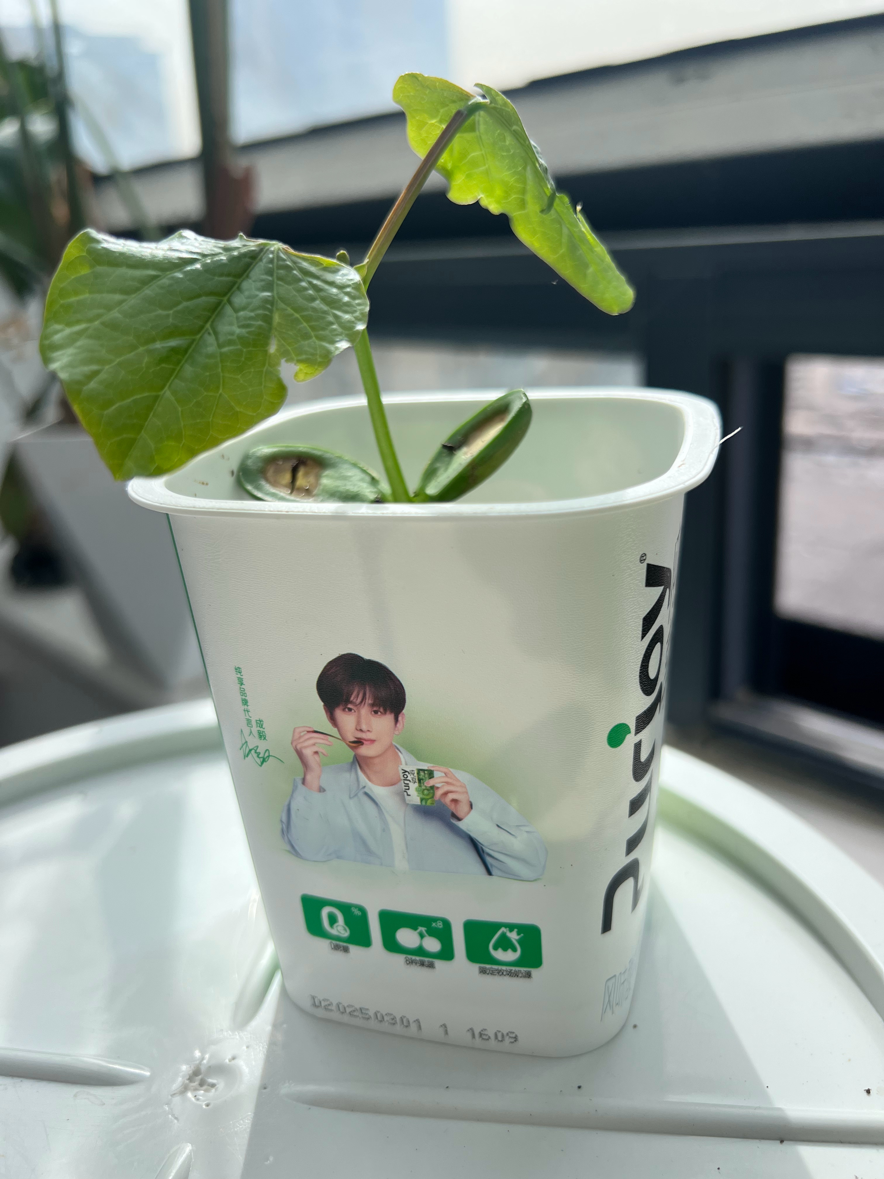 我现在要发一条很重要的帖子，渣浪请让我发进实时里，我拿出我的“诚意”给你看看，你