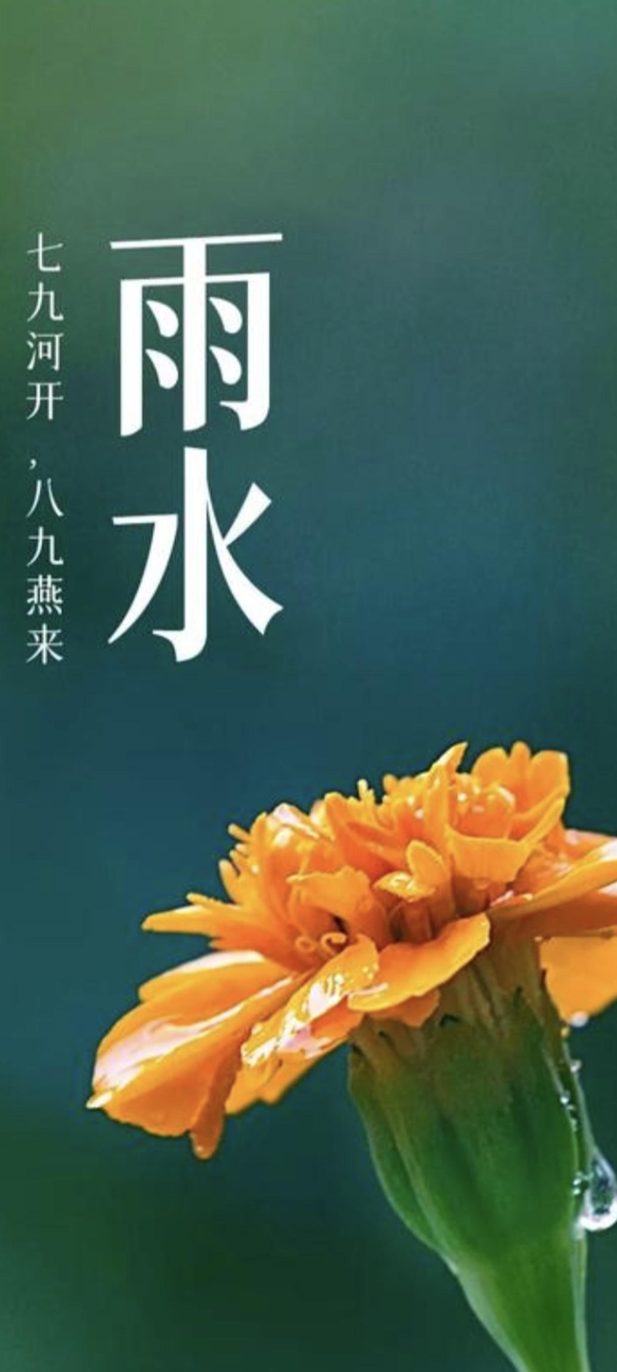 今天是大年初二，也是二十四节气中的第二个节气，雨水。这个节气最温柔，最浪漫。古往