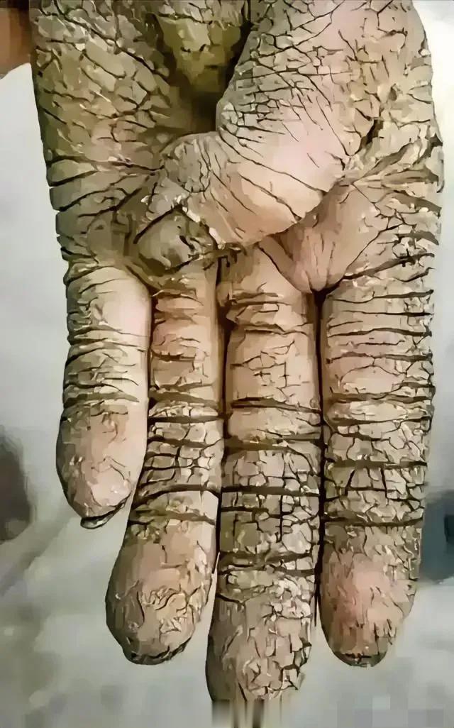 看了这双手，莫名的心疼！网友说​父亲就是凭着这双手，给儿子盖楼，买房买车、给彩礼