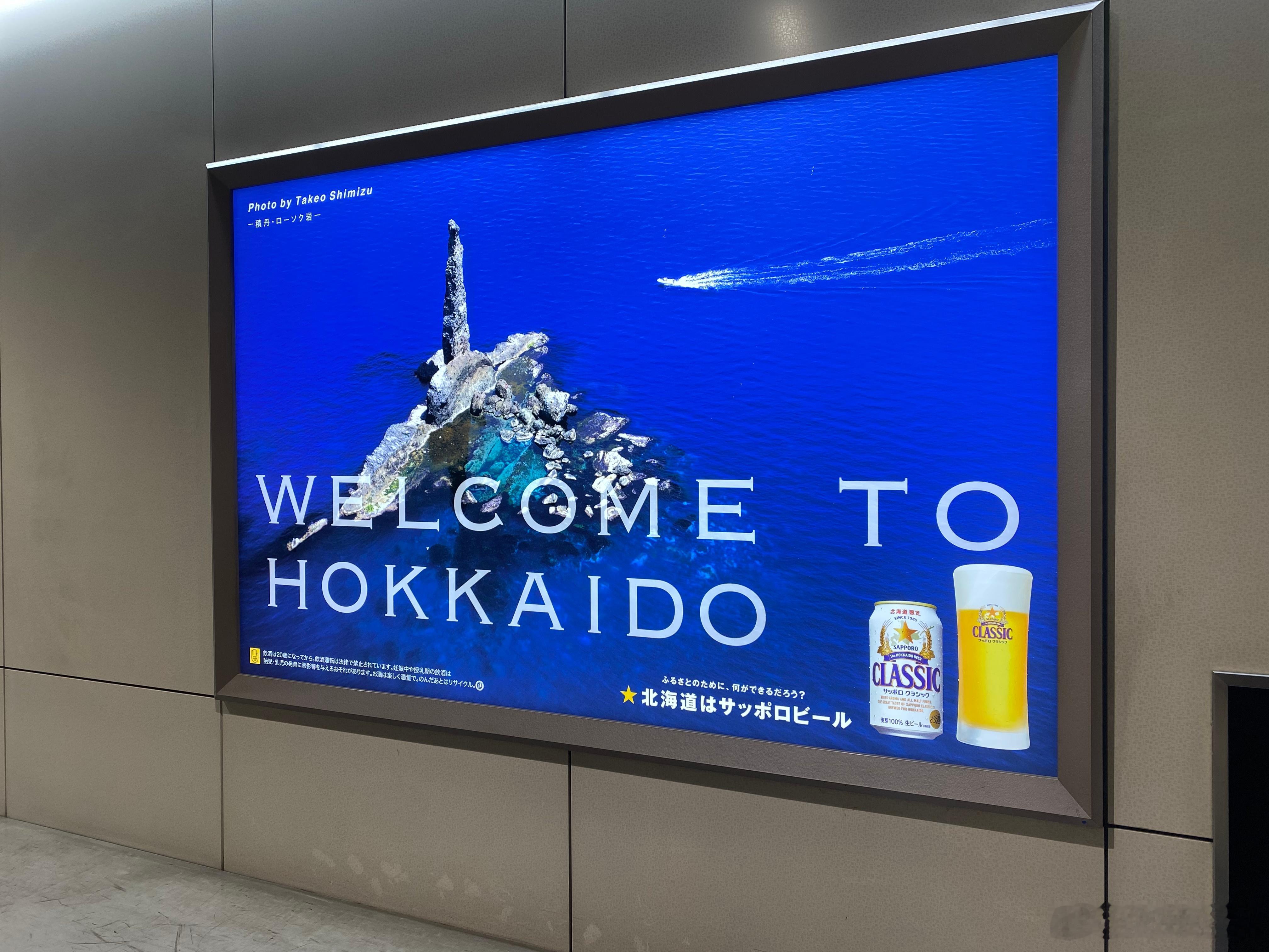 来北海道出差了[酸]yoyo浅井悠佑[超话]  ​​​