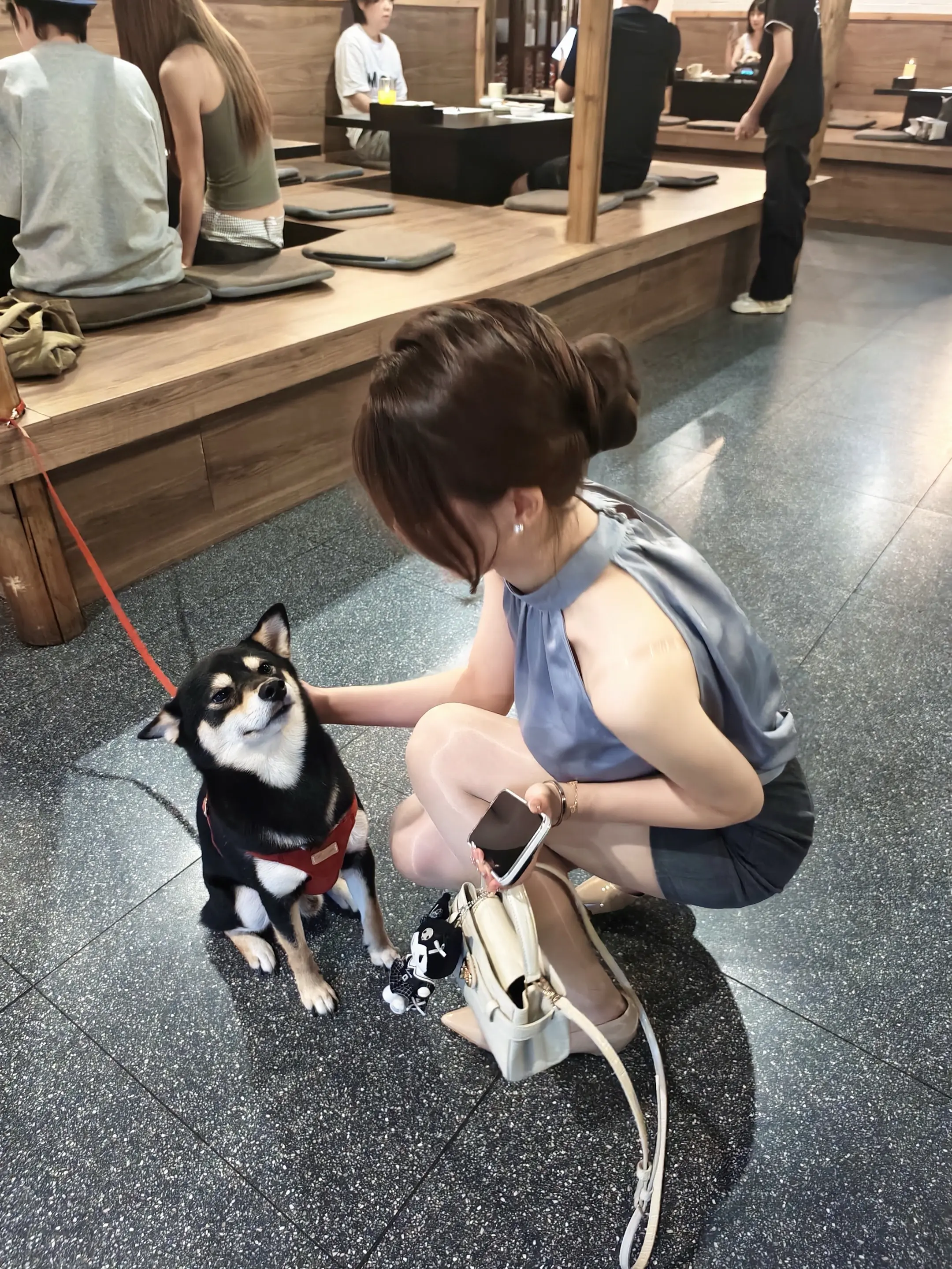 小狗小狗🐕