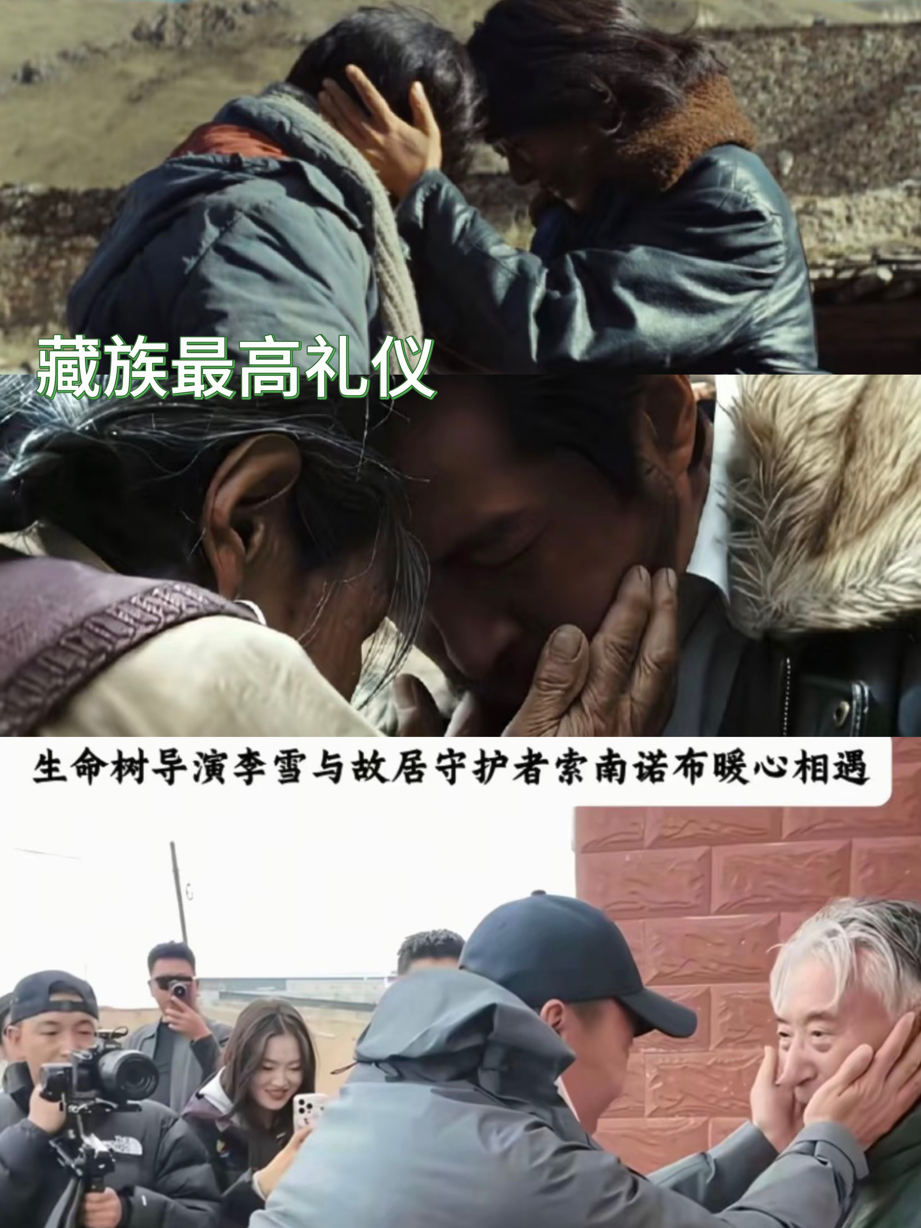 又想重温生命树了🥹 