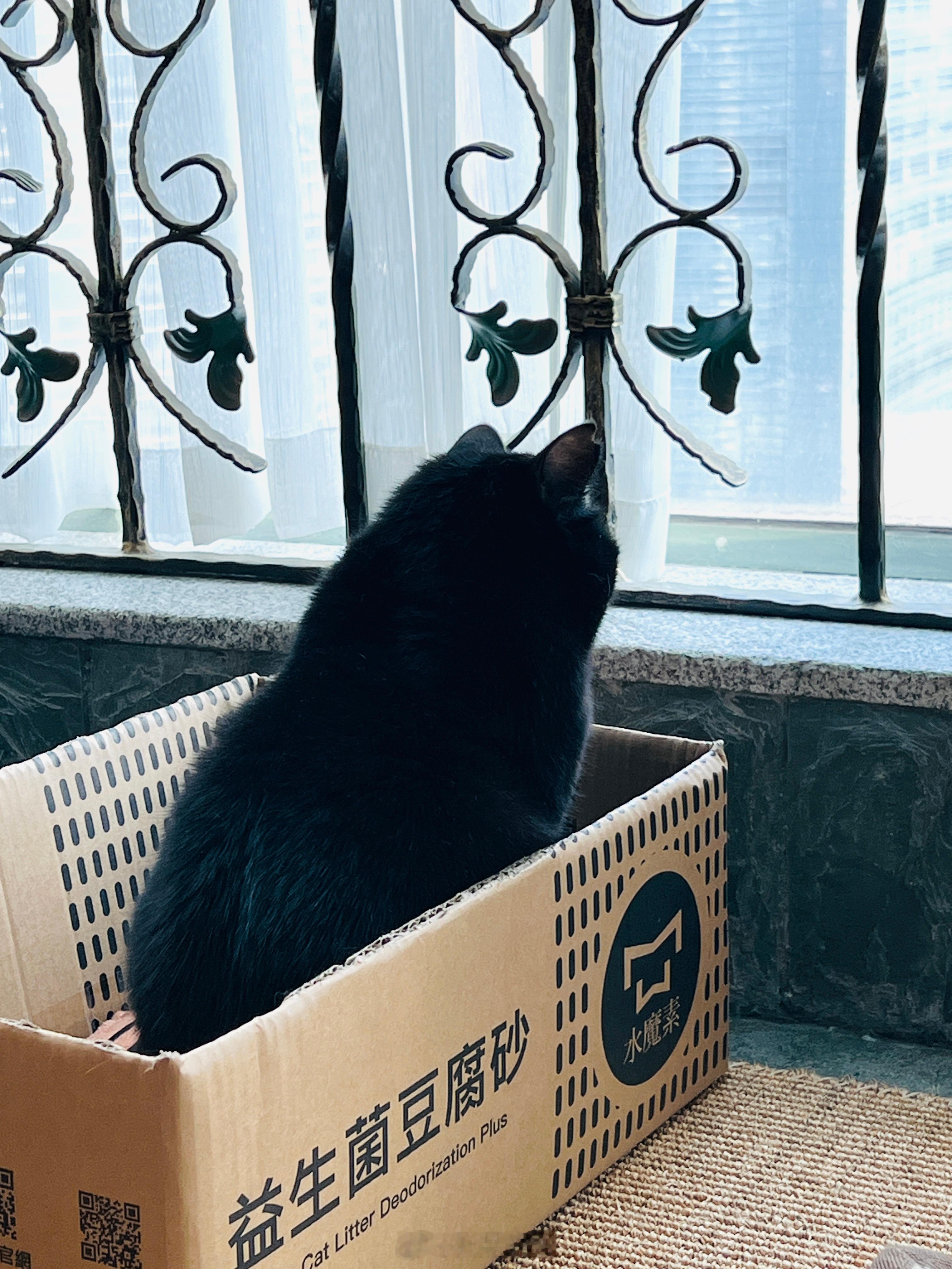 想靜靜的蝦 蝦蝦不可以太可愛 