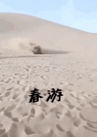 什么土行孙项目？
