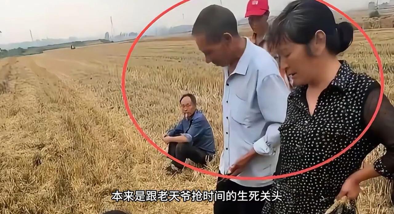 当初分田到户的时候，农田是分优质土地与劣质土地的，因为不同土质的农田，产量差别很