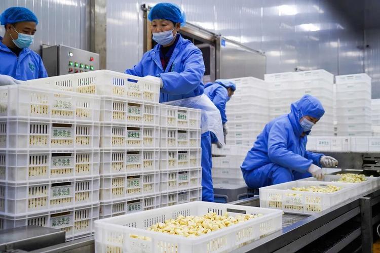看一下杞县大蒜收购辐射周边多少个县、市、区！
因为杞县有加工大蒜的企业多家，因此