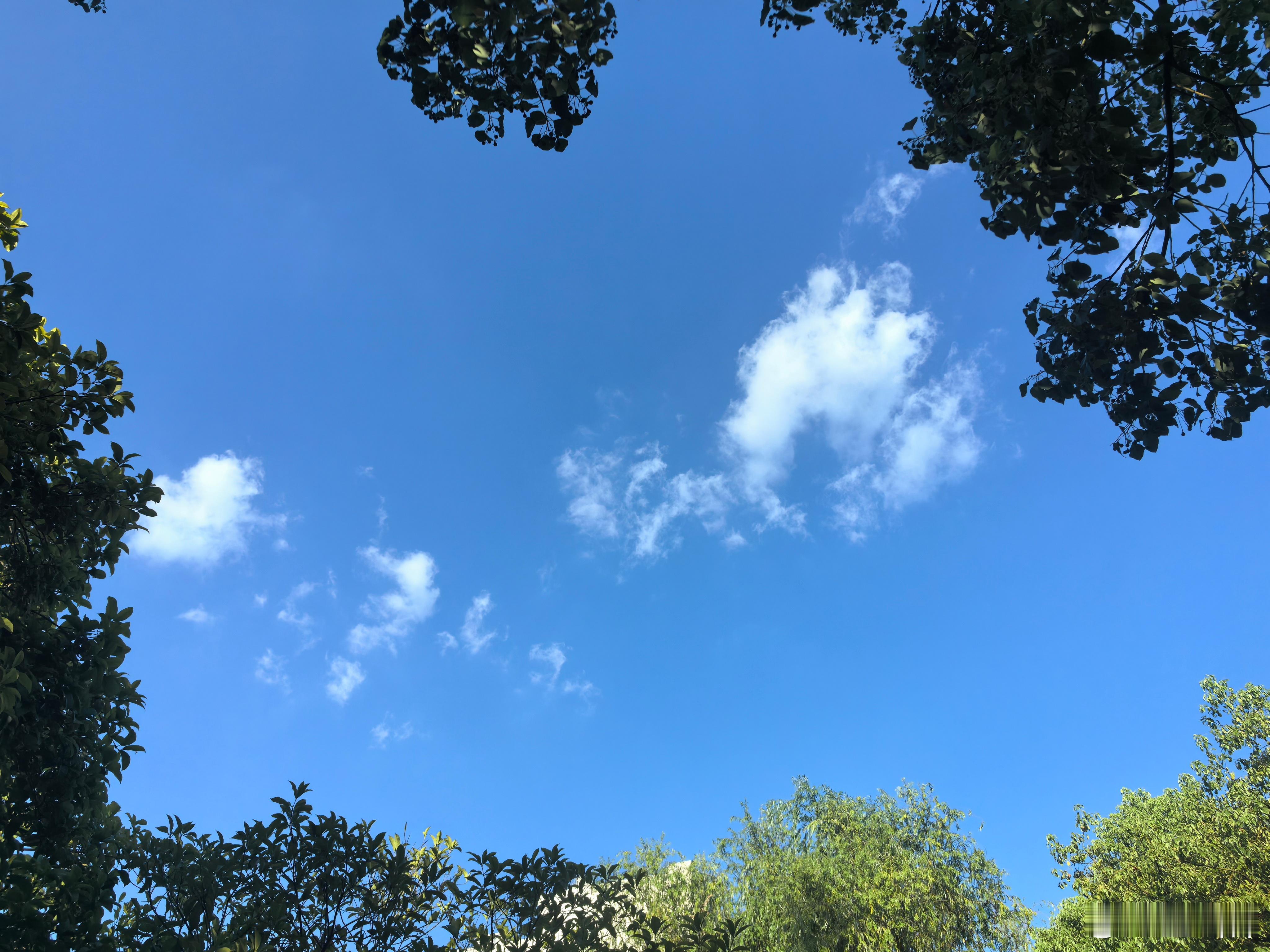 夏日的天空就是蓝。今天37℃高温，应该算是夏日的最后一波高温了吧，等台风来了正好