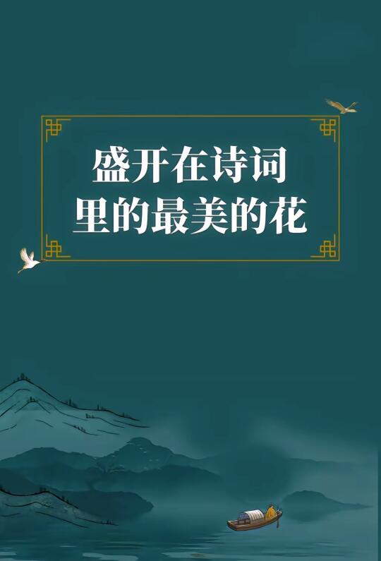 第292集丨春天到了，那些盛开在诗词里的最美的花，醉了心。