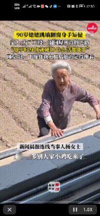 刷到辽宁这位90岁姥姥，我直接看呆了！就因为不想多走几步路绕远，居然徒手翻1米高