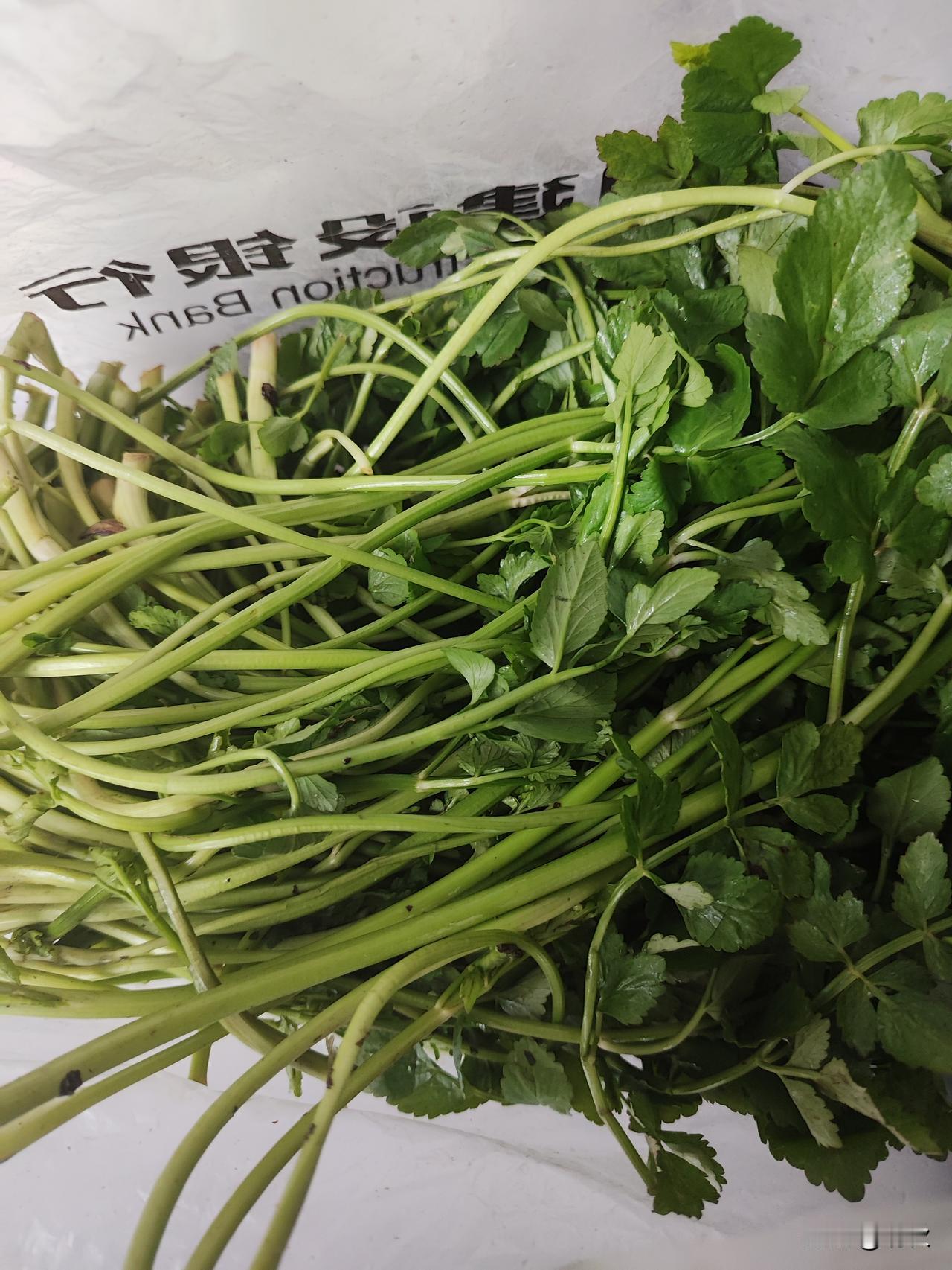 我姐强势而且又有强迫症，在一起我干啥都要听她安排，我做饭，她要指指点点说咋做咋做