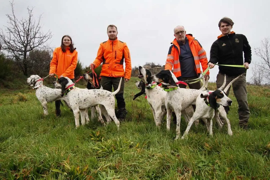 法国猎犬圣东基猎犬